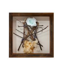 New design wood frame Placing specimens of branches and flowers shadow box frame